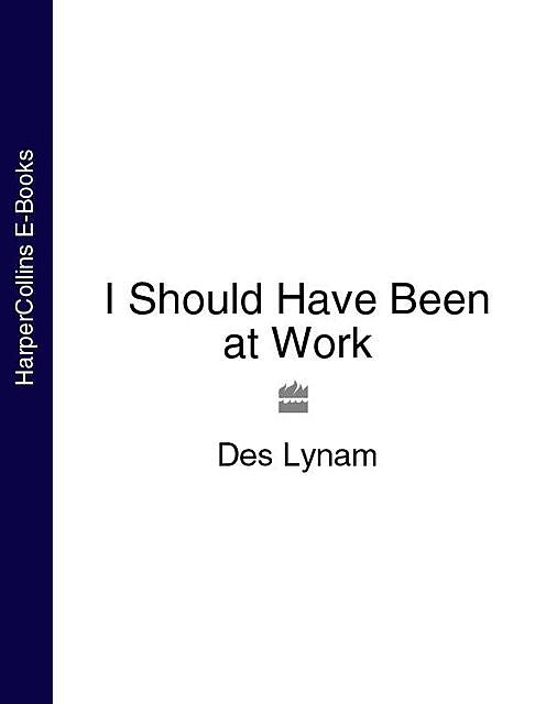 I Should Have Been at Work, Des Lynam