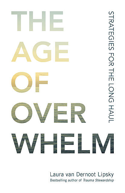 The Age of Overwhelm, Laura van Dernoot Lipsky