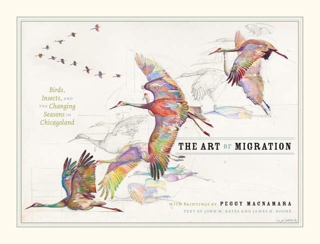 The Art of Migration, John Bates, James H. Boone, Peggy Macnamara