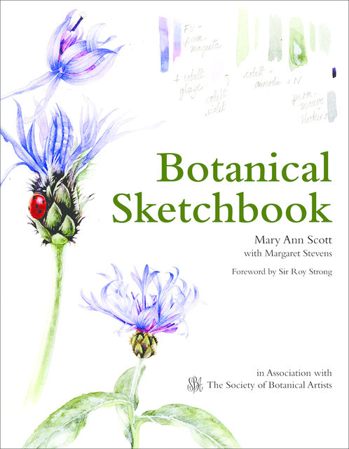 Botanical Sketchbook, Mary Ann Scott, Margaret Stevens