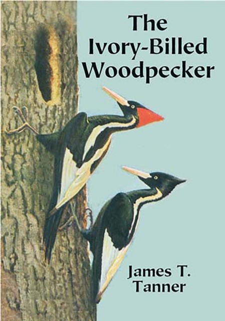 The Ivory-Billed Woodpecker, James T.Tanner