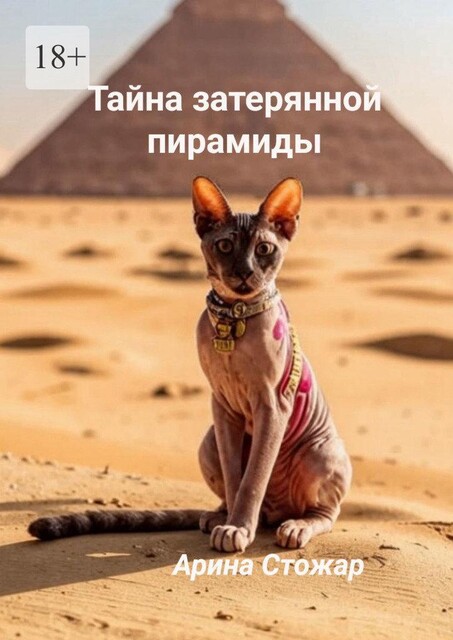 Тайна затерянной пирамиды, Арина Стожар