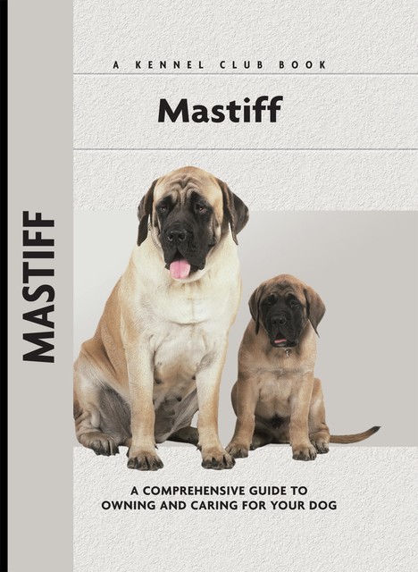 Mastiff, Christina De Lima-Netto