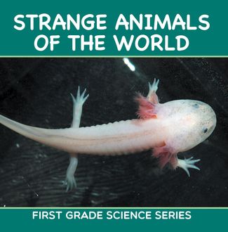 Strange Animals Of The World : First Grade Science Series, Baby Professor