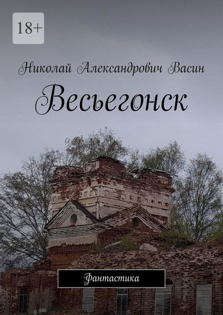 Весьегонск. Фантастика, Николай Васин