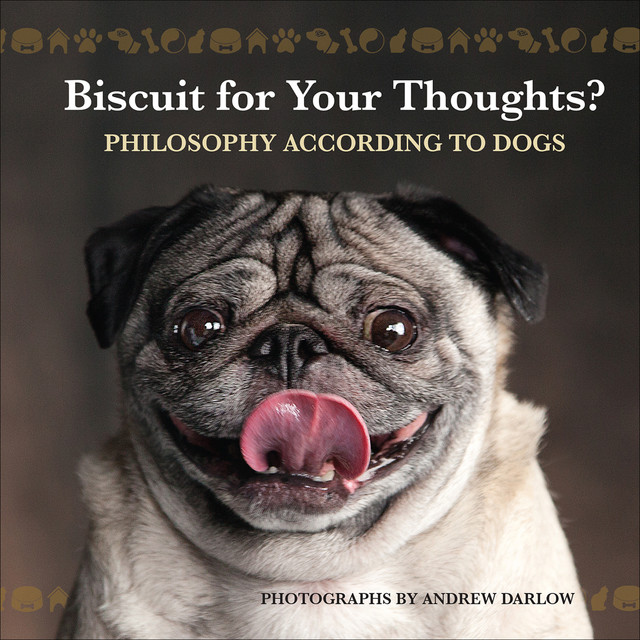 Biscuit for Your Thoughts, Photographs by Andrew Darlow