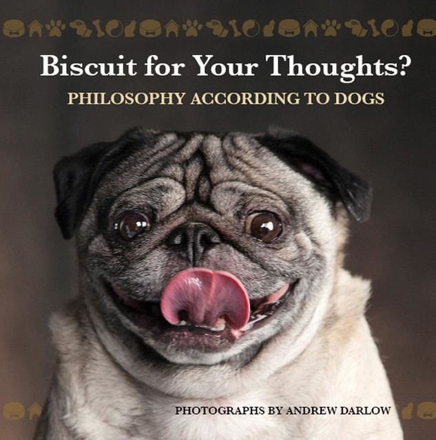 Biscuit for Your Thoughts, Photographs by Andrew Darlow