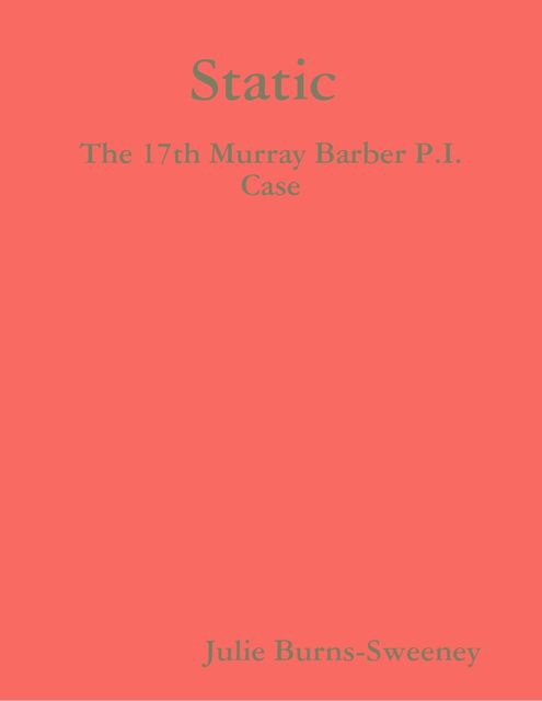 Static : The 17th Murray Barber P.I. Case, Julie Burns-Sweeney