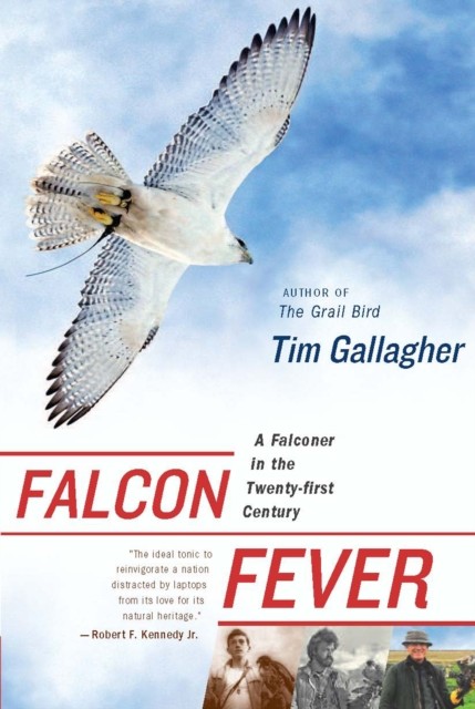 Falcon Fever, Tim Gallagher
