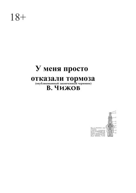У меня просто отказали тормоза. Опубликованный законченный черновик, В. Чижов