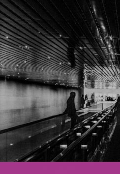 Napoleón Y El Ajedrez, Juan Carlos Ruiz Franco