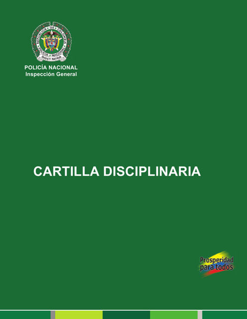 Ley 1015 2006, estado colombiano