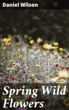Spring Wild Flowers, Daniel Wilson