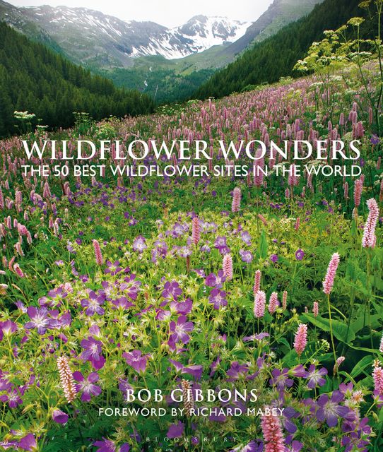 Wildflower Wonders, Bob Gibbons