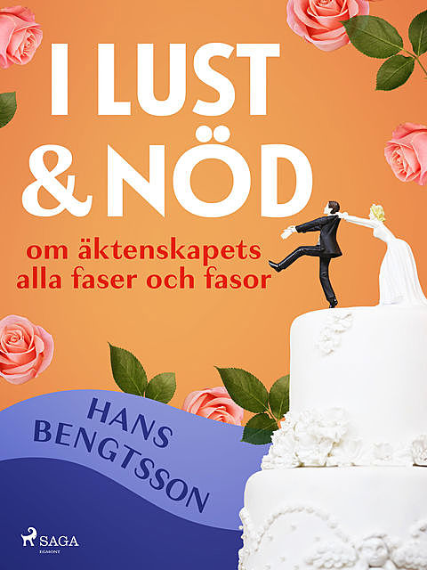 I lust och nöd: om äktenskapets alla faser och fasor, Hans Bengtsson