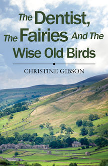 The Dentist, The Fairies and The Wise Old Birds, Christine Gibson