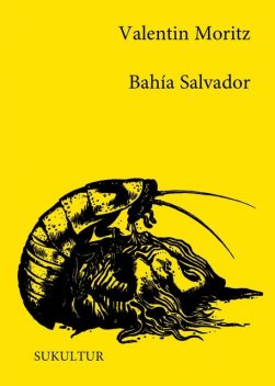 Bahía Salvador, Valentin Moritz