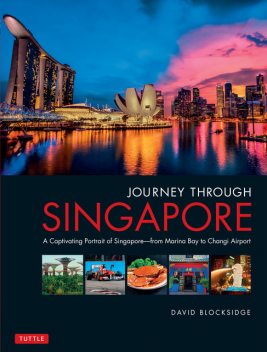 Journey Through Singapore, David Blocksidge