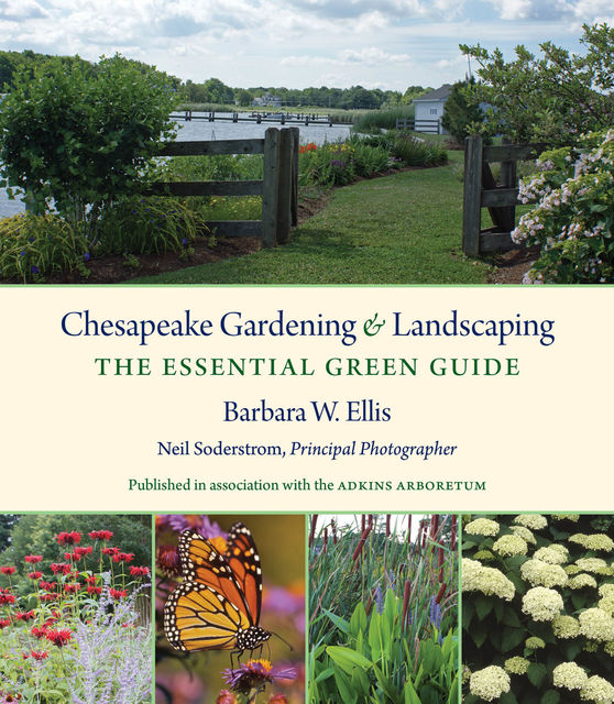Chesapeake Gardening and Landscaping, Barbara Ellis