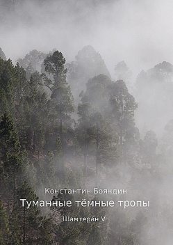Туманные темные тропы, Константин Бояндин