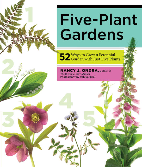 Five-Plant Gardens, Nancy J.Ondra