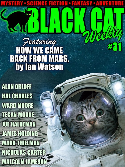Black Cat Weekly #31, Wildside Press