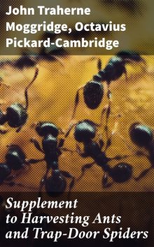 Supplement to Harvesting Ants and Trap-Door Spiders, John Traherne Moggridge, Octavius Pickard-Cambridge