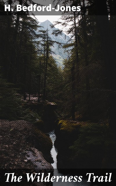 The Wilderness Trail, H. Bedford-Jones