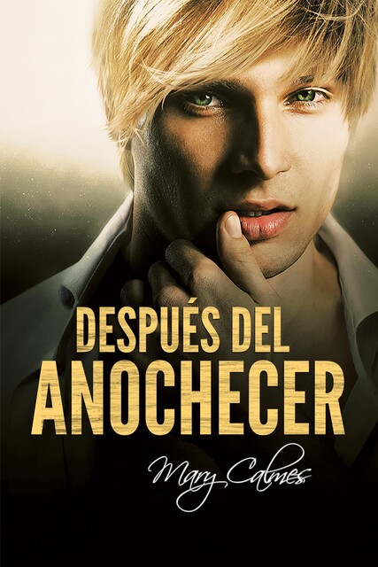 Después del anochecer, Mary Calmes