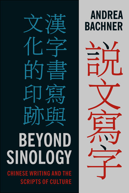 Beyond Sinology, Andrea Bachner