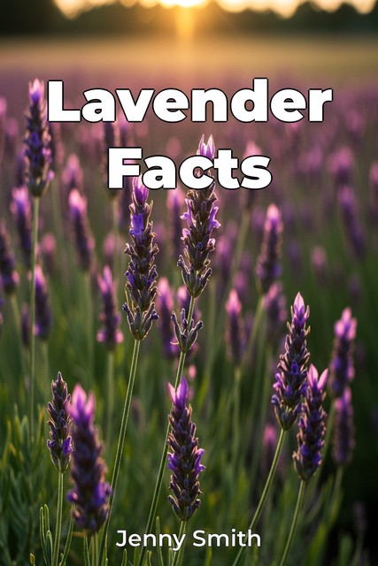 Lavender Facts, Jenny Smith