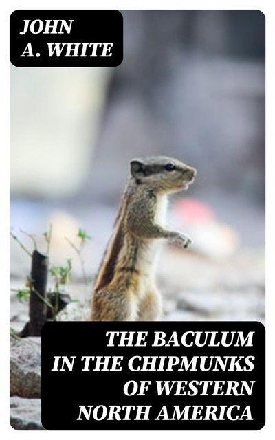 The Baculum in the Chipmunks of Western North America, John White