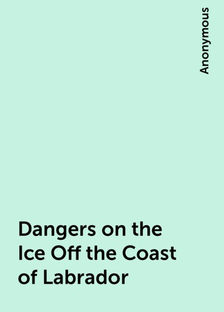 Dangers on the Ice Off the Coast of Labrador, 
