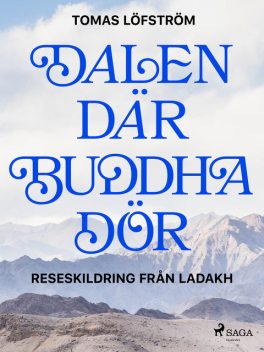 Dalen där Buddha dör, Tomas Löfström