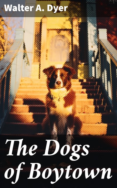 The Dogs of Boytown, Walter A. Dyer