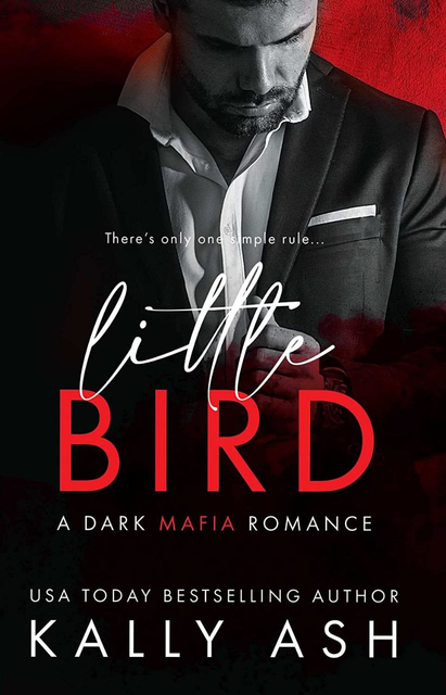 Little Bird – Duet Dirty Deeds #1 – Kally Ash, Yes To All Books