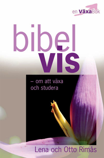 Bibelvis – om att växa och studera, Otto Rimas, Lena Rimås