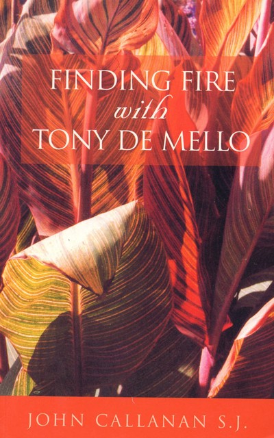 Finding Fire With Tony De Mello, John Callanan