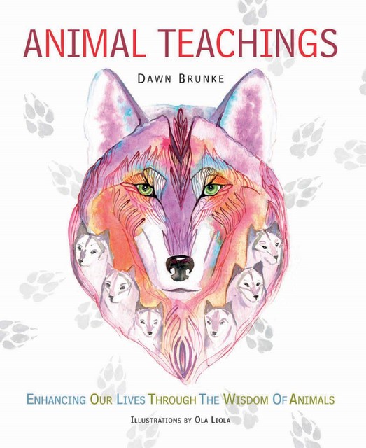 Animal Teachings, Dawn Brunke