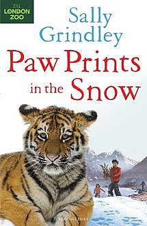 Paw Prints in the Snow, Sally Grindley
