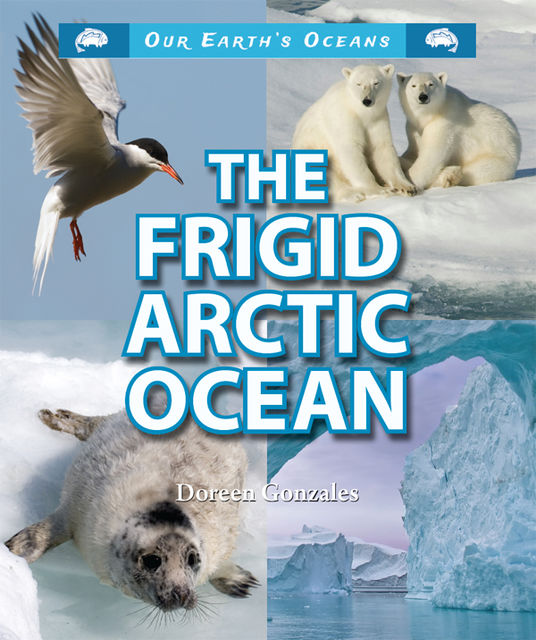 The Frigid Arctic Ocean, Doreen Gonzales