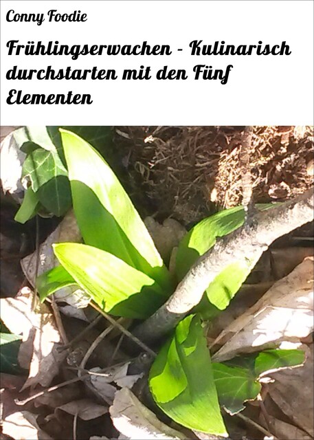Frühlingserwachen – Kulinarisch durchstarten mit den Fünf Elementen, Conny Foodie