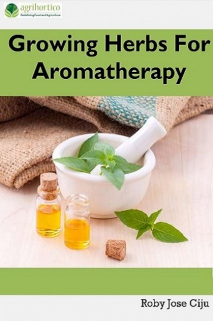 Growing Herbs For Aromatherapy, Roby Jose Ciju