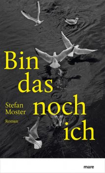 Bin das noch ich, Stefan Moster