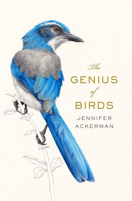 The Genius of Birds, Jennifer Ackerman