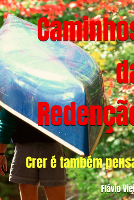 Caminhos Da Redenção, Flávio Vieira