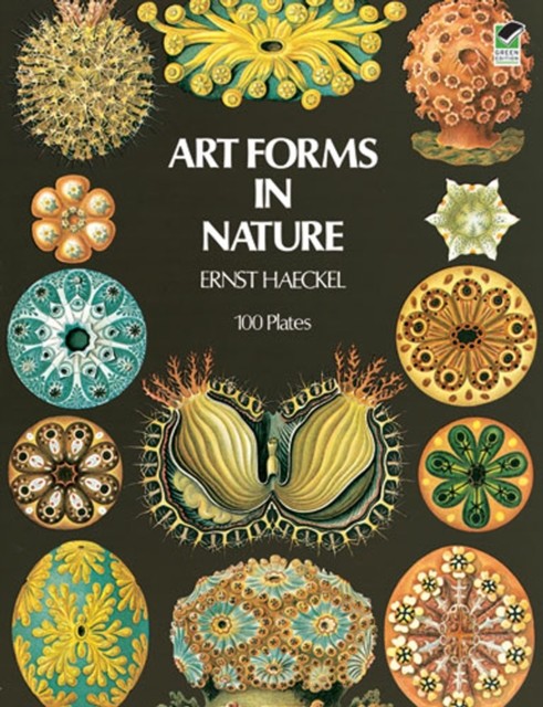 Art Forms in Nature, Ernst Haeckel