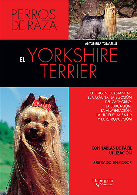 El yorkshire terrier, Antonella Tomaselli