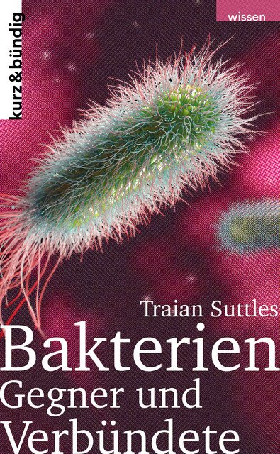 Bakterien, Traian Suttles