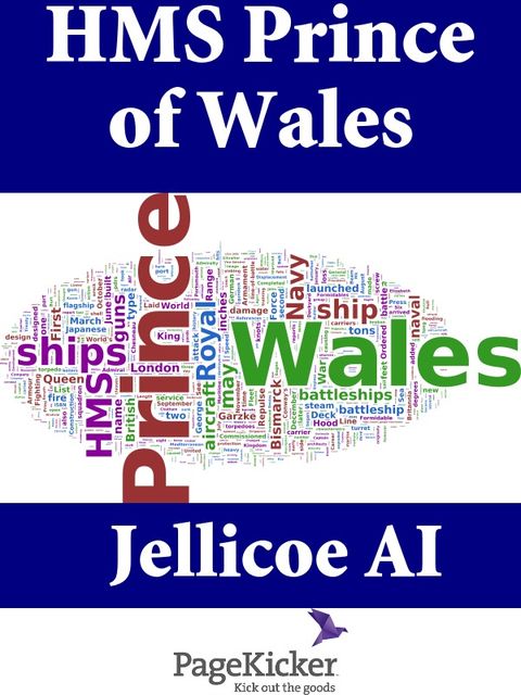 HMS Prince of Wales, Jellicoe AI